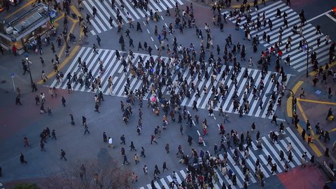 City pedestrian traffic of people crossing the famous Shibuya intersection in Tokyo.