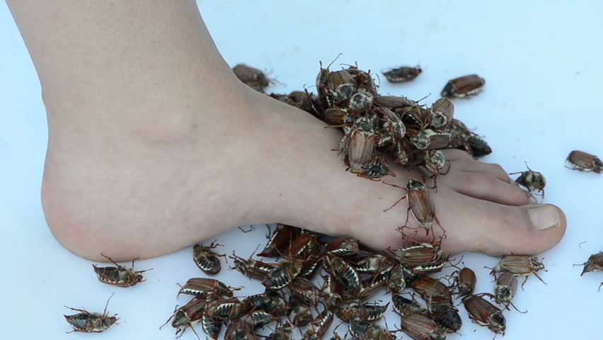 Bug crush barefoot