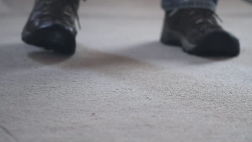 Detail of carpet being sprayed with a detergent solution prior to steam