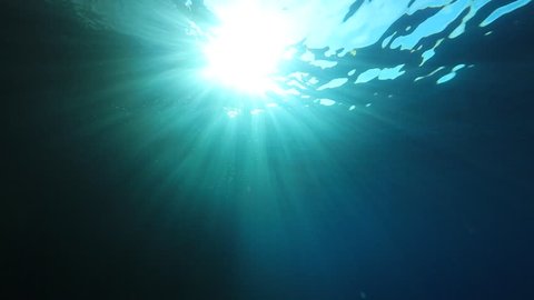 Underwater  sunlight  background