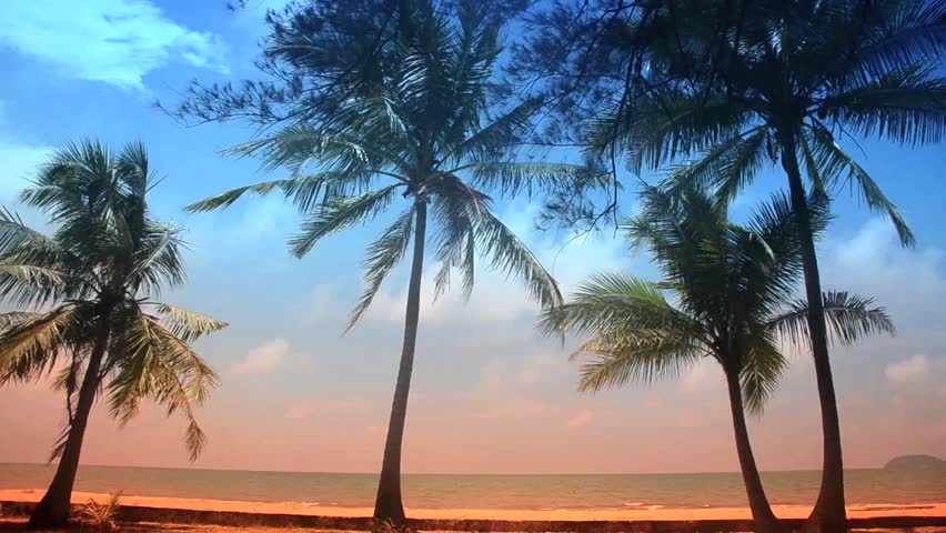 Tropical Scene Sunset At Beach Stock Footage Video 100 Royalty Free