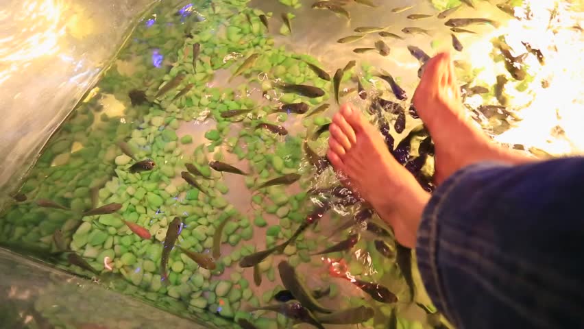 Peeling skin feet of tropical fish in the water