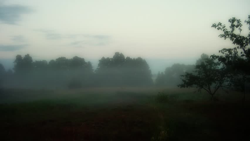 Mist rises over the field