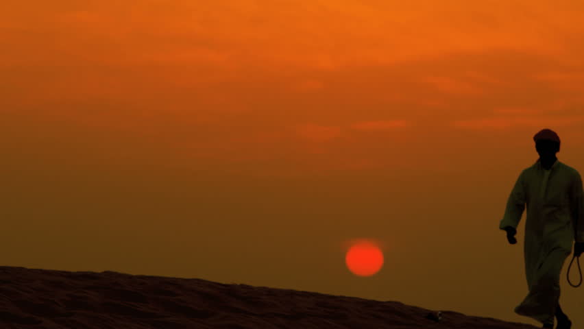 Middle eastern male leading his camels through desert sunset silhouette shot on RED EPIC, 4K, UHD, Ultra HD resolution