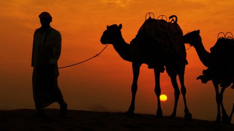 Middle eastern male leading his camels through desert sunset silhouette shot on RED EPIC, 4K, UHD, Ultra HD resolution