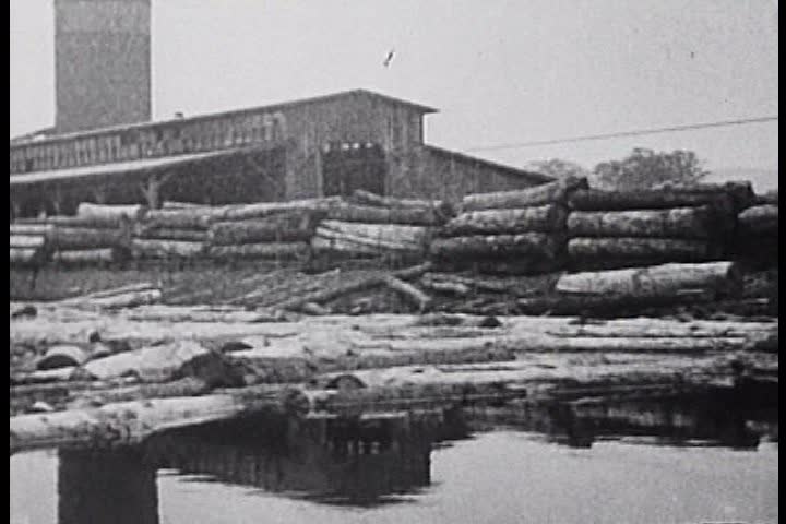 The workings of a lumber mill in 1920.