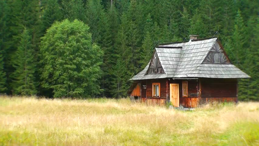 Old wooden house in the middle of mountain forest 