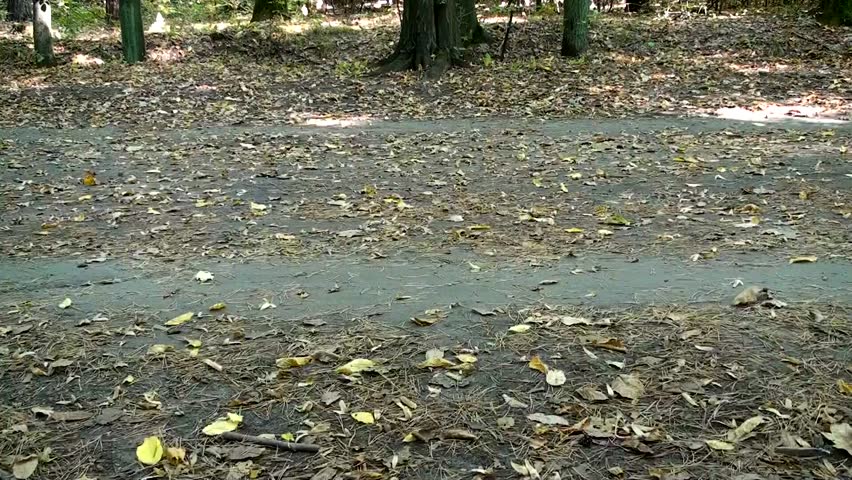 Foots of running man in the forest 