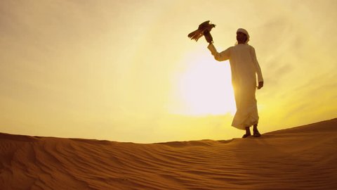 Arabic male white headdress desert sand sunset with trained Peregrine falcon on gloved wrist shot on RED EPIC, 4K, UHD, Ultra HD resolution