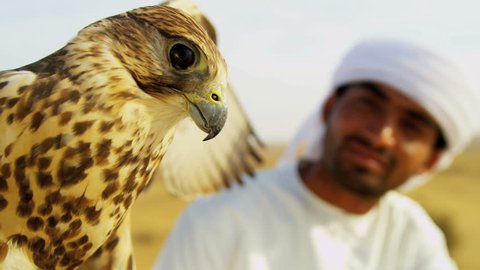Close up Arab male traditional white headdress with trained falcon on gloved wrist desert location shot on RED EPIC, 4K, UHD, Ultra HD resolution