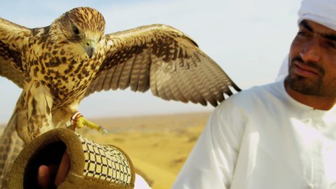 Portrait close up Saker falcon displaying wings tethered to Arabic male owners wrist close up shot on RED EPIC, 4K, UHD, Ultra HD resolution