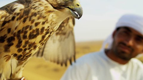 Full frame portrait peregrine falcon with Arabic male owner outdoors desert location shot on RED EPIC, 4K, UHD, Ultra HD resolution
