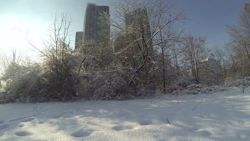 Winter Snow 360 Degree Time Lapse. A 360 degree time lapse of a snow-covered