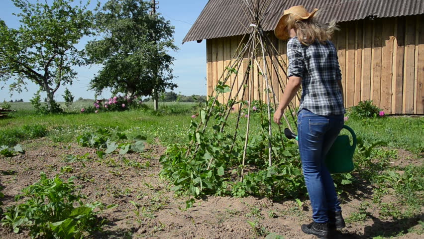 Farmer girl woman with hat water bean legume plants in garden with green watering-can.