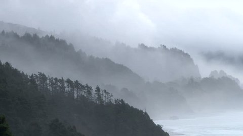 Storm Brings Rain Fog Pacific Northwest Stock Footage Video (100% ...
