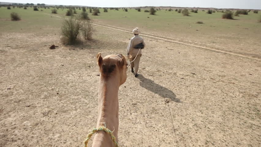 Camel Riding On Desert 1st Stock Footage Video 100 Royalty Free 5324828 Shutterstock