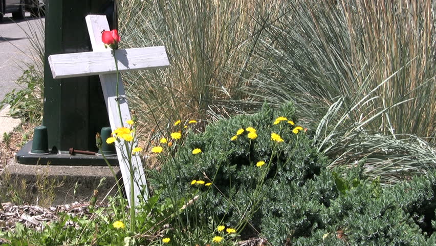 A cross with a red rose leans on a lamp post by the side of a busy intersection signifying a recent traffic accident and death.