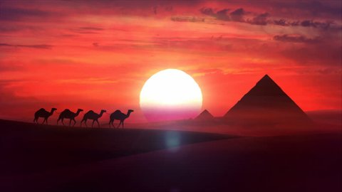 A camel train travels across a desert in the sunset. Sand dunes silhouettes, pyramides of Giza and cloudy cloud sunset in the background. Animation HD