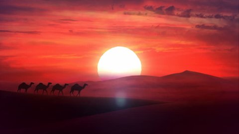 A camel train travels across a desert in the sunset. Sand dunes silhouette and cloudy cloud sunset in the background. Animation HD