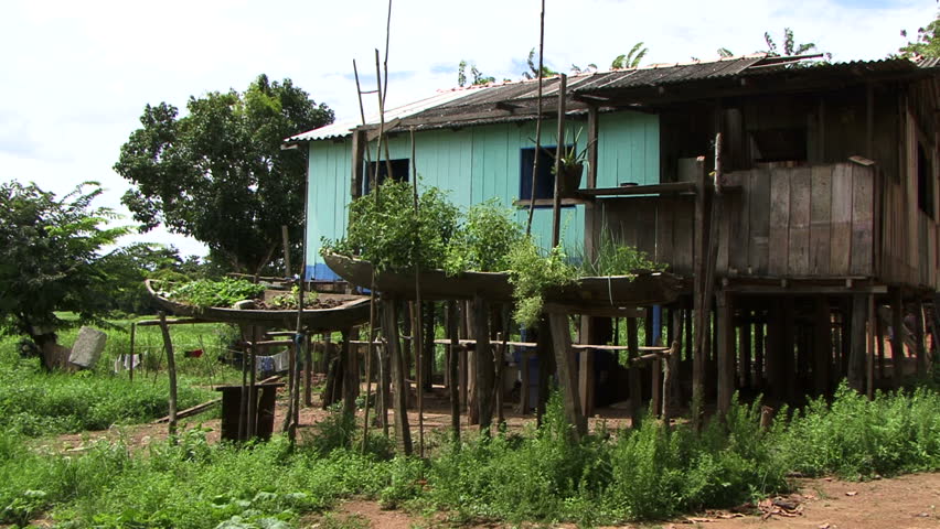 Home in an Amazon village