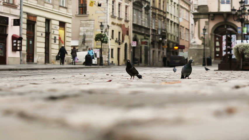 The Rynok Square in Lviv is a central square of the city of Lviv, Ukraine.