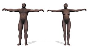 Homo erectus - 3D render