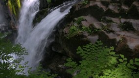 HD 1080i shot (with audio) of a scenic waterfall in a rain forest.