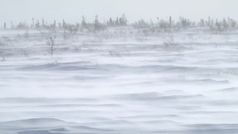 Snow flurries blowing across an arctic landscape.