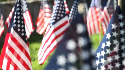 Veterans Day flags. Shot on Veterans Day, 2010 at Riverside National Cemetery. 库存视频
