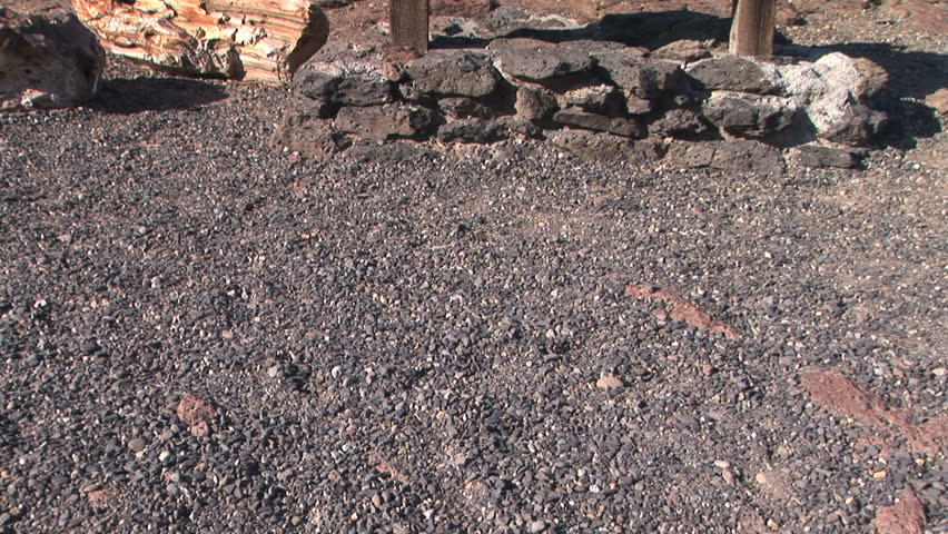 Ginkgo Petrified Forest state park, Washington, tilt