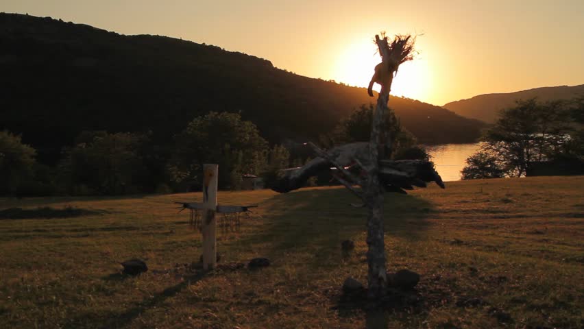 Totem pole sculptures on a field next to a lake at sunset. Artistic representation of vultures and other birds.