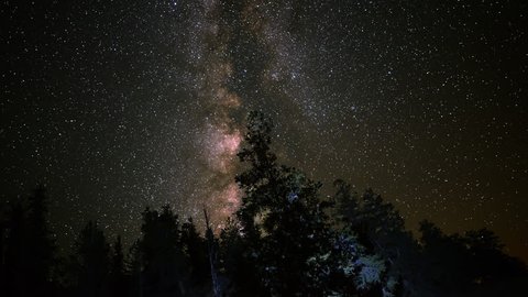 4K Astro Time Lapse of Milky Way Galaxy over Alpine Forest -Tilt Up- Stock Video