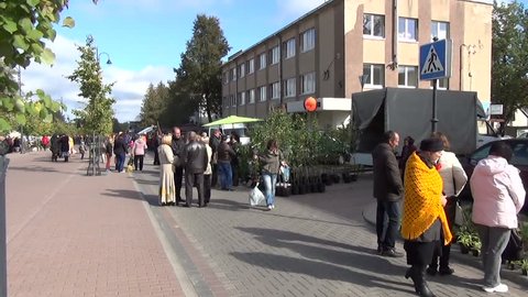 fruit tree sale urban street autumn annual market on September in Sirvintos, Lithuania.