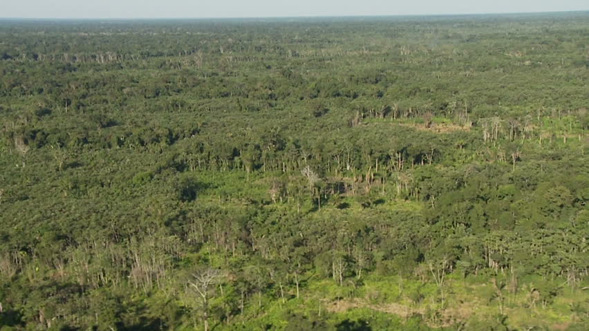 Aerial view of the amazon jungle