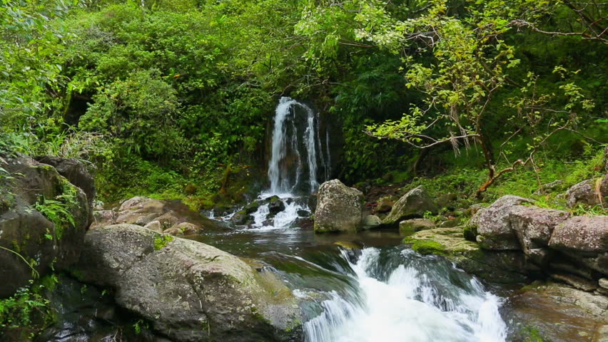 Tropical Jungle Waterfall In Hawaii