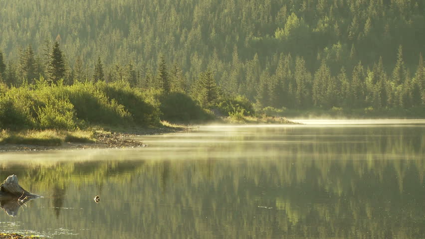 Morning mist rolls over a lake