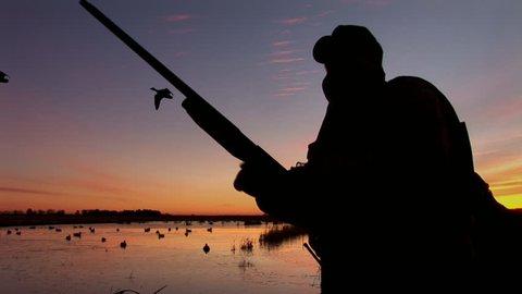 Duck Hunting, hunter loading shotgun as Mallards fly by. silhouette