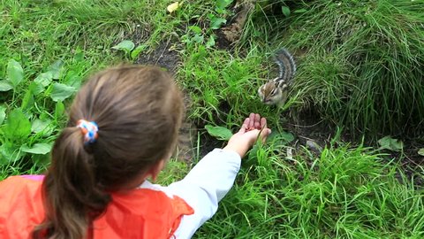 Little girl feeding from the hands of a chipmunk.