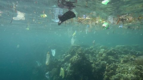 Plastic garbage and other debris floating underwater over coral reef in Bunaken Island, Sulawesi
