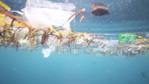 Plastic bags and other garbage floating underwater over fragile coral reef in Bunaken Island, Sulawesi