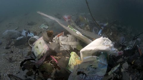 Plastic garbage and other debris floating in the tide mark underwater in Bunaken Island, Sulawesi