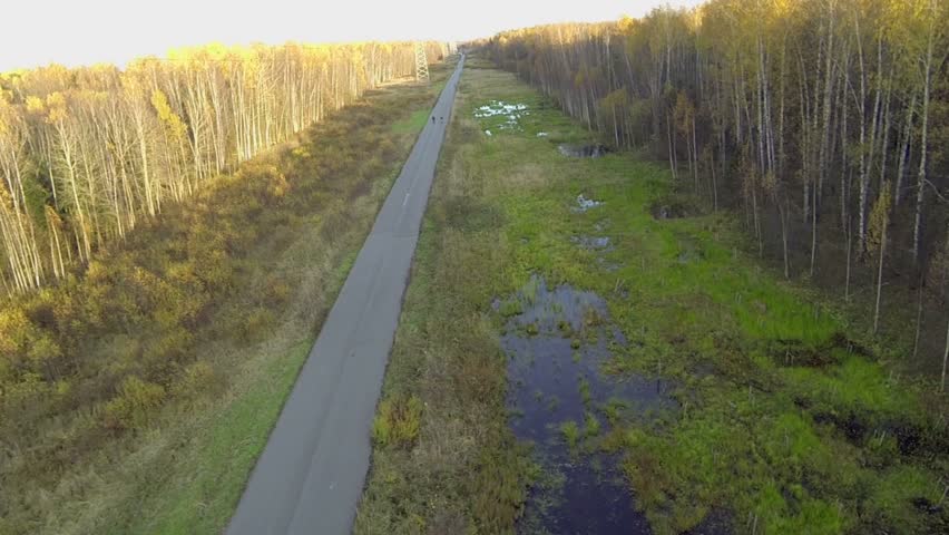 People ride on bikes by road in park with electricity wires at sunny autumn day