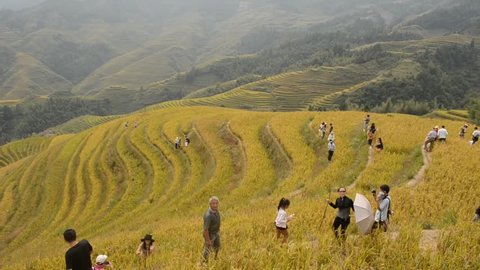 LONGJI, CHINA, OCTOBER 4, 2013: Chinese tourist are discovering rice fields during their trip to Longji rice terraces.