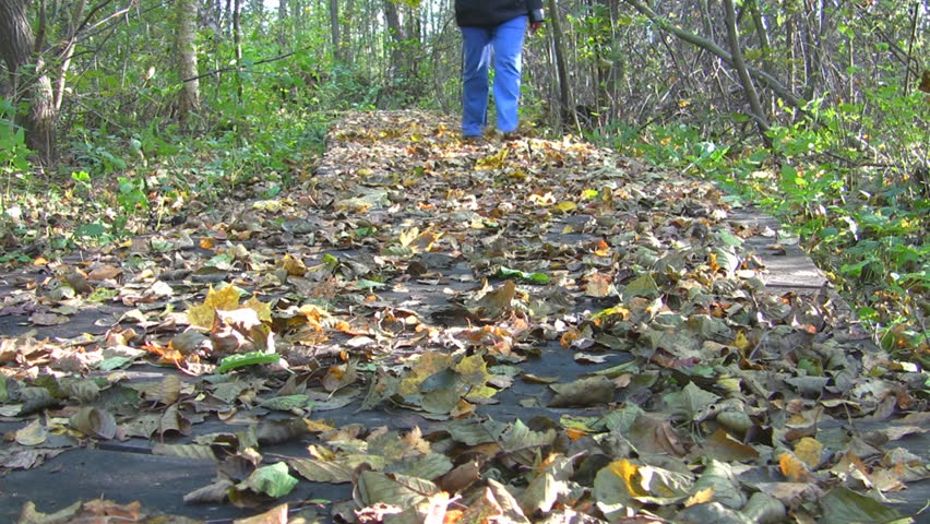 Fall, a person goes through the leaves