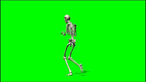 skeleton sneaks  - seperated on green screen 