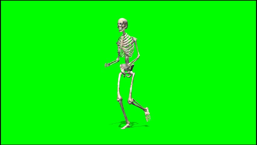skeleton run - seperated on green Stock Footage Video (100% Royalty ...
