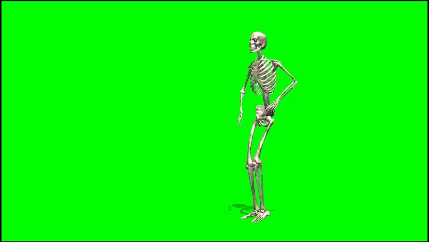 Skeleton Dancing Rap Seperated Stock Footage Video 100 Royalty