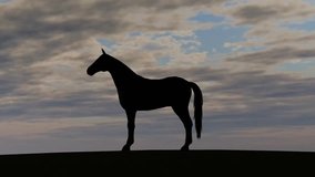 Horse Rise in Sunset - Video Background 
