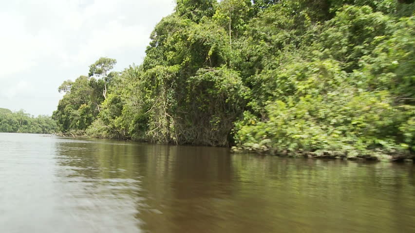 Tropical Berbice River in Guyana 01