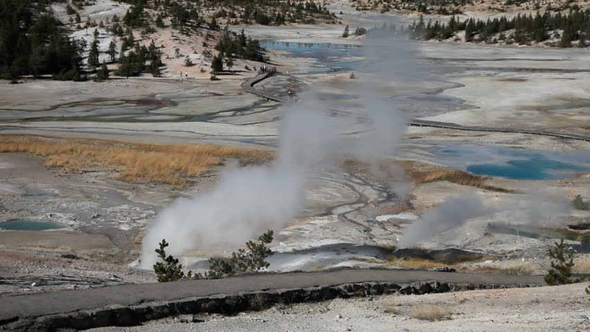 Porcelain Basin a clear water geyser area in the Norris Geyser Basin, Yellowstone National park, Wyoming. Surrounded by forest that has burned and new growth. Hot steam geothermal feature.